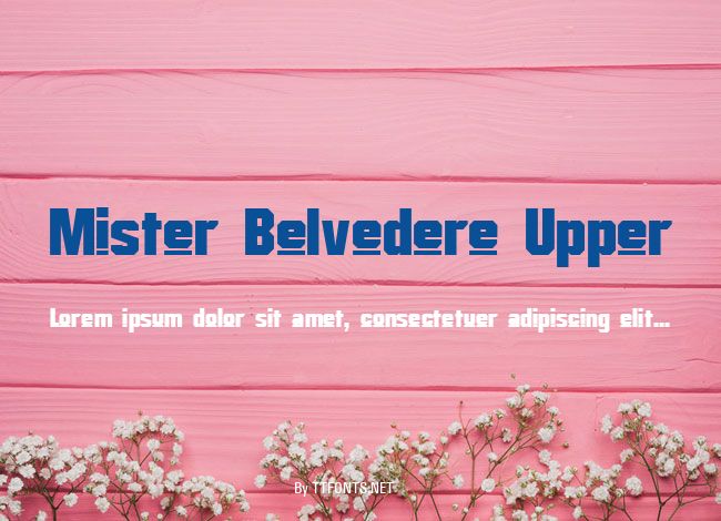 Mister Belvedere Upper example